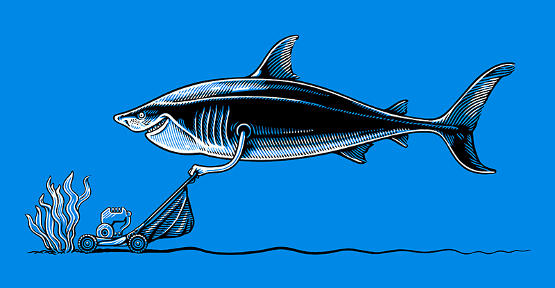 shark_lawnmower_WEB.png