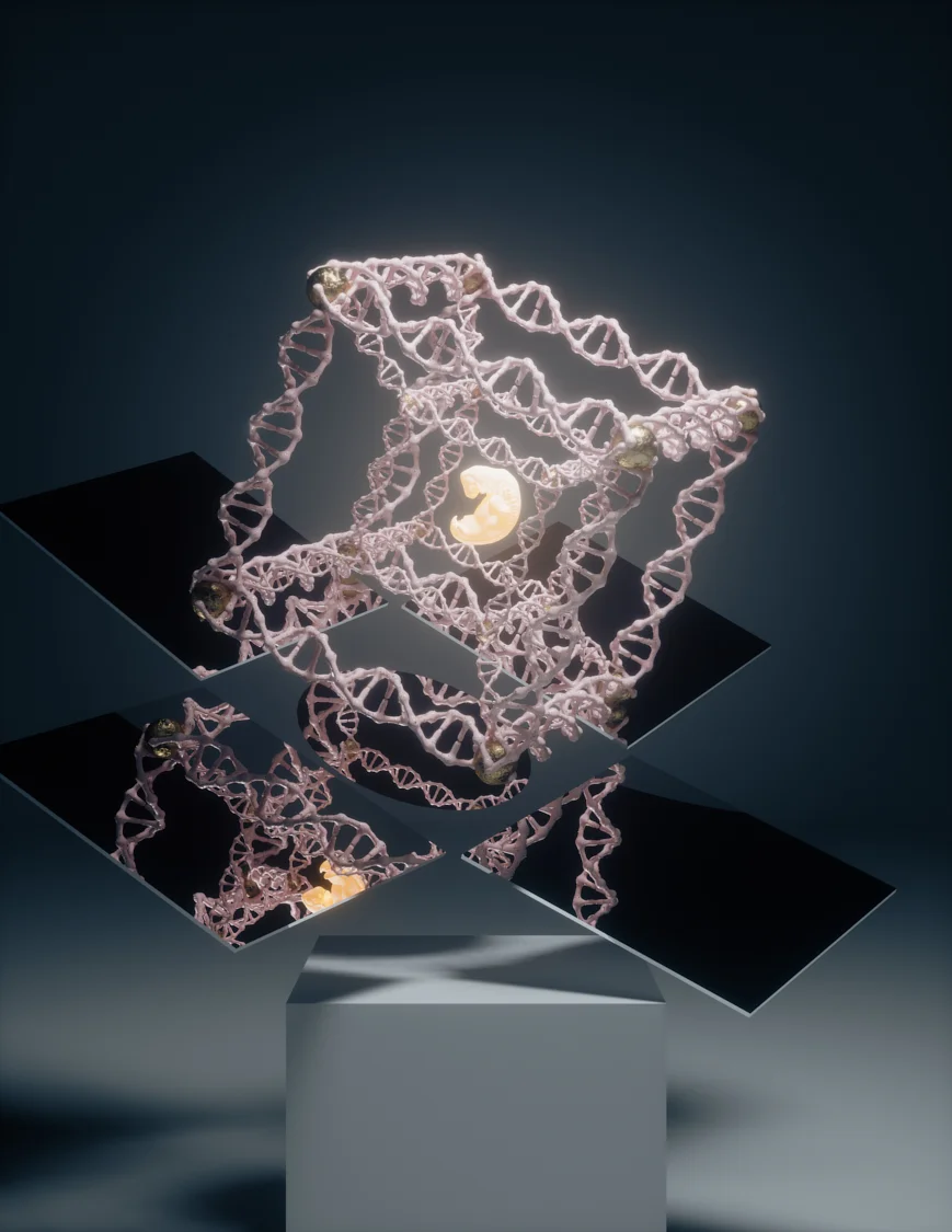 TESSERACT FIJA 1.jpg