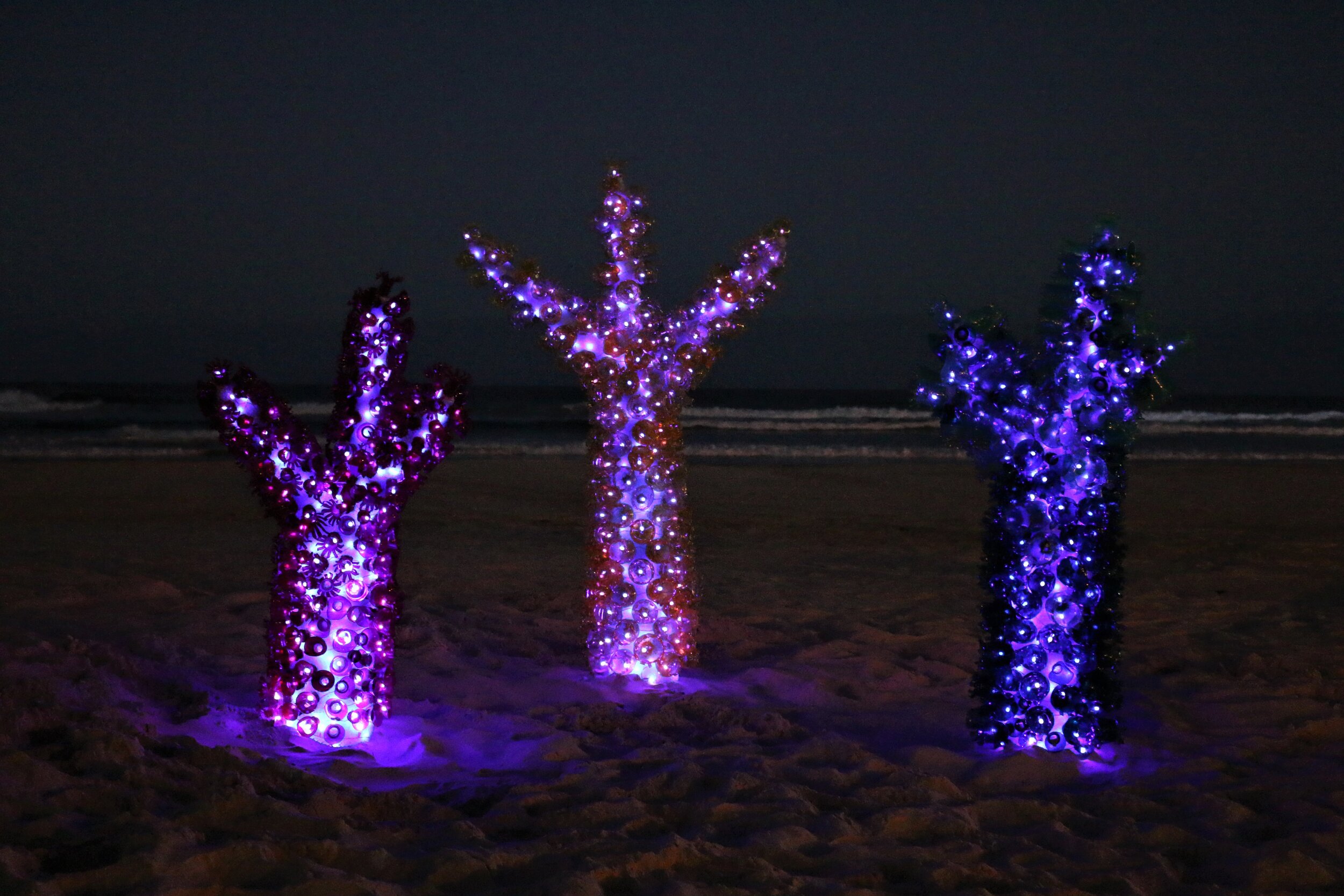 coral fluorescence (night)