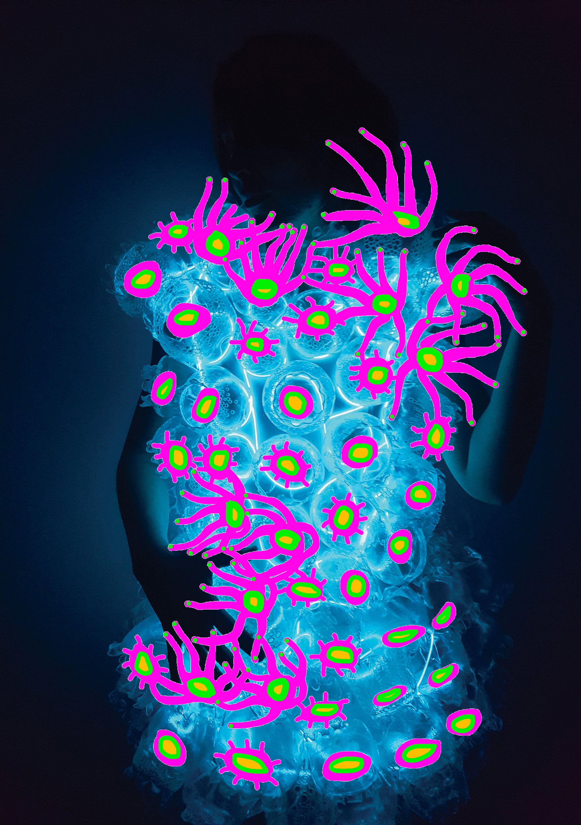 Nadine_Schmoll_Interconnected_Interdisciplinary_Collaboration_Image2.jpg