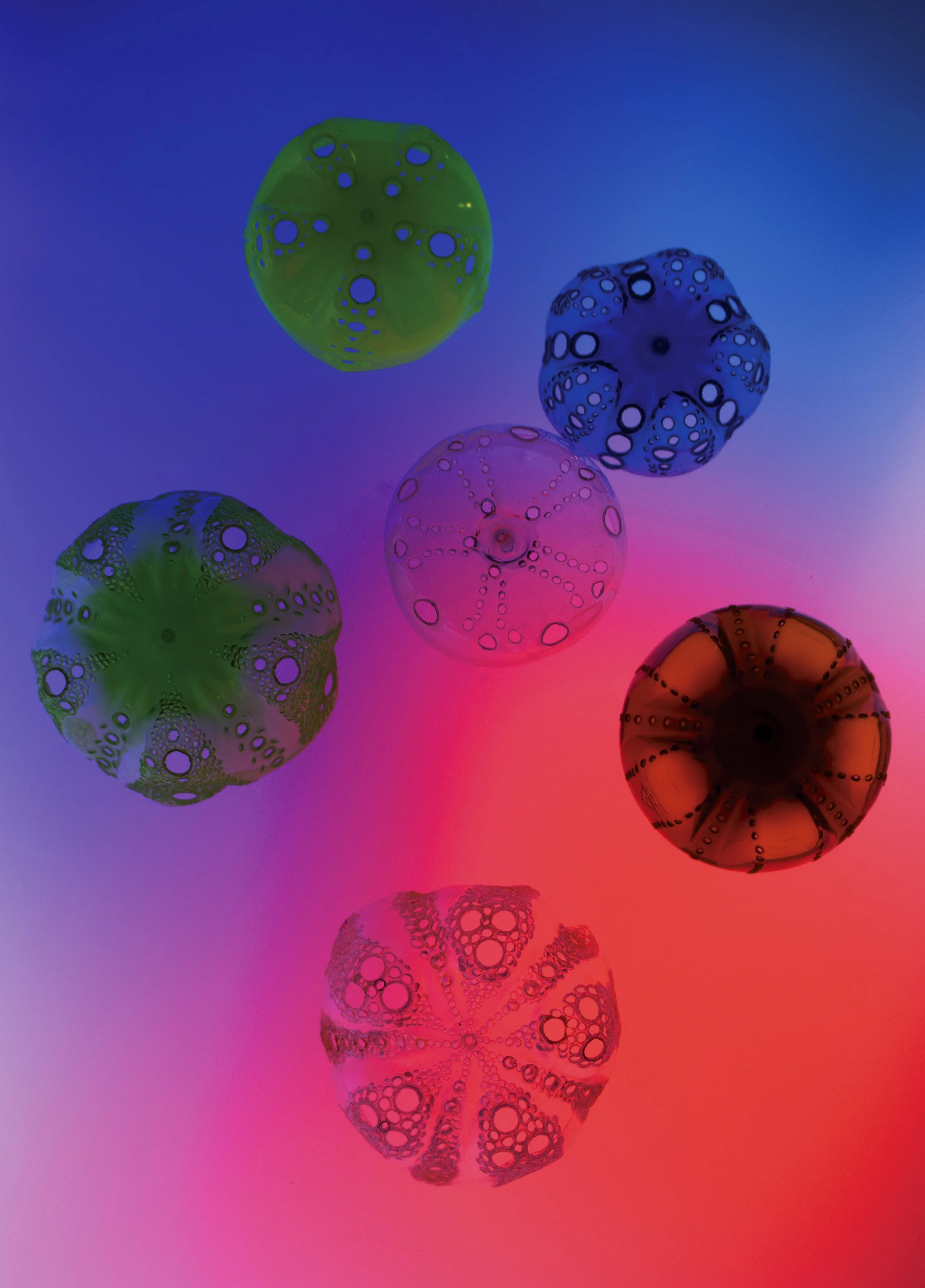 Microbes Floating in a Sea II PRINT.jpg