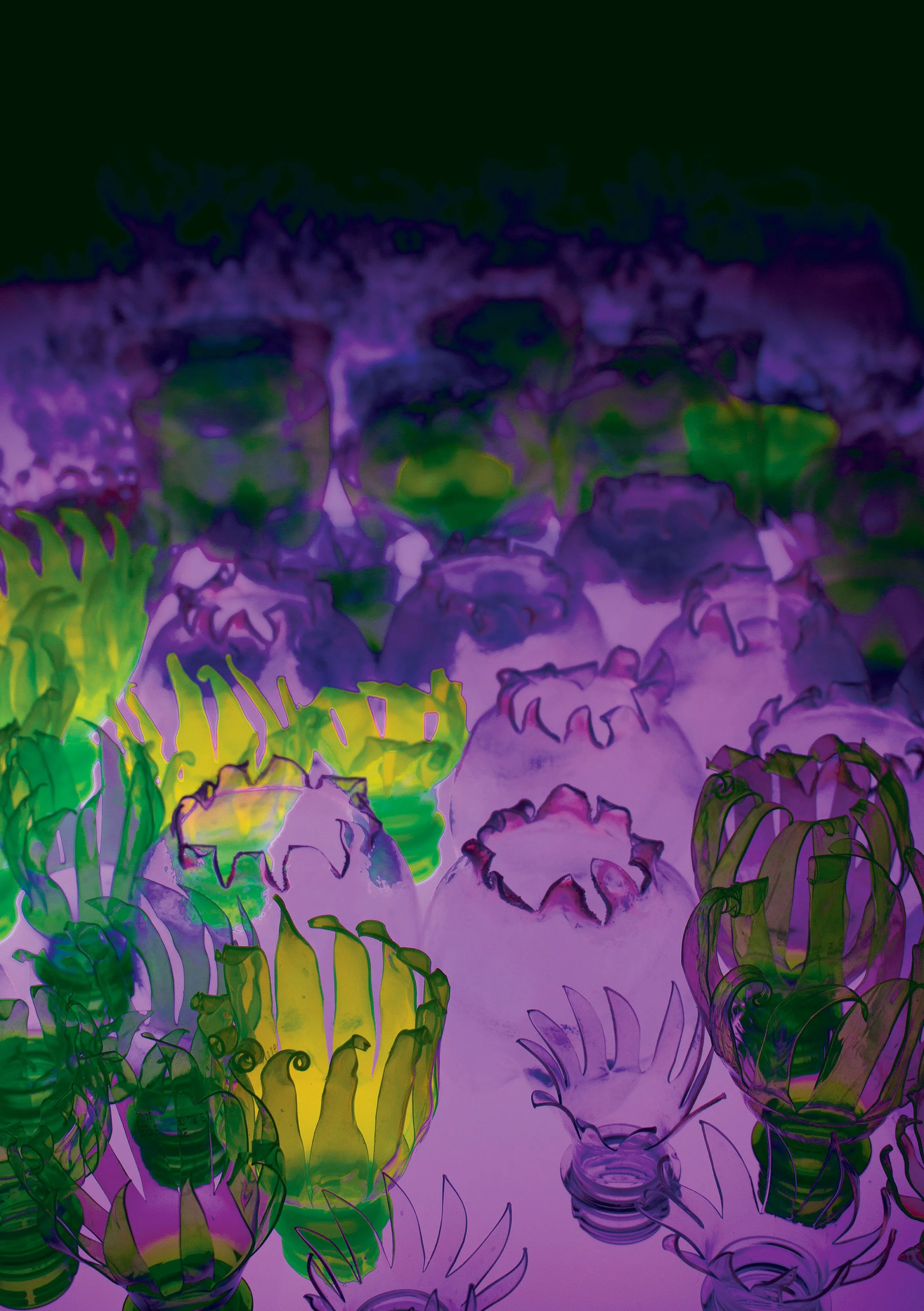 Nadine Schmoll 7 Microbes Floating in a Sea.jpg