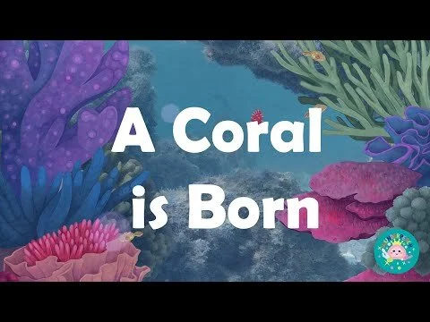 A Coral is Born animation - a tale of coral spawning by Wunderpeach