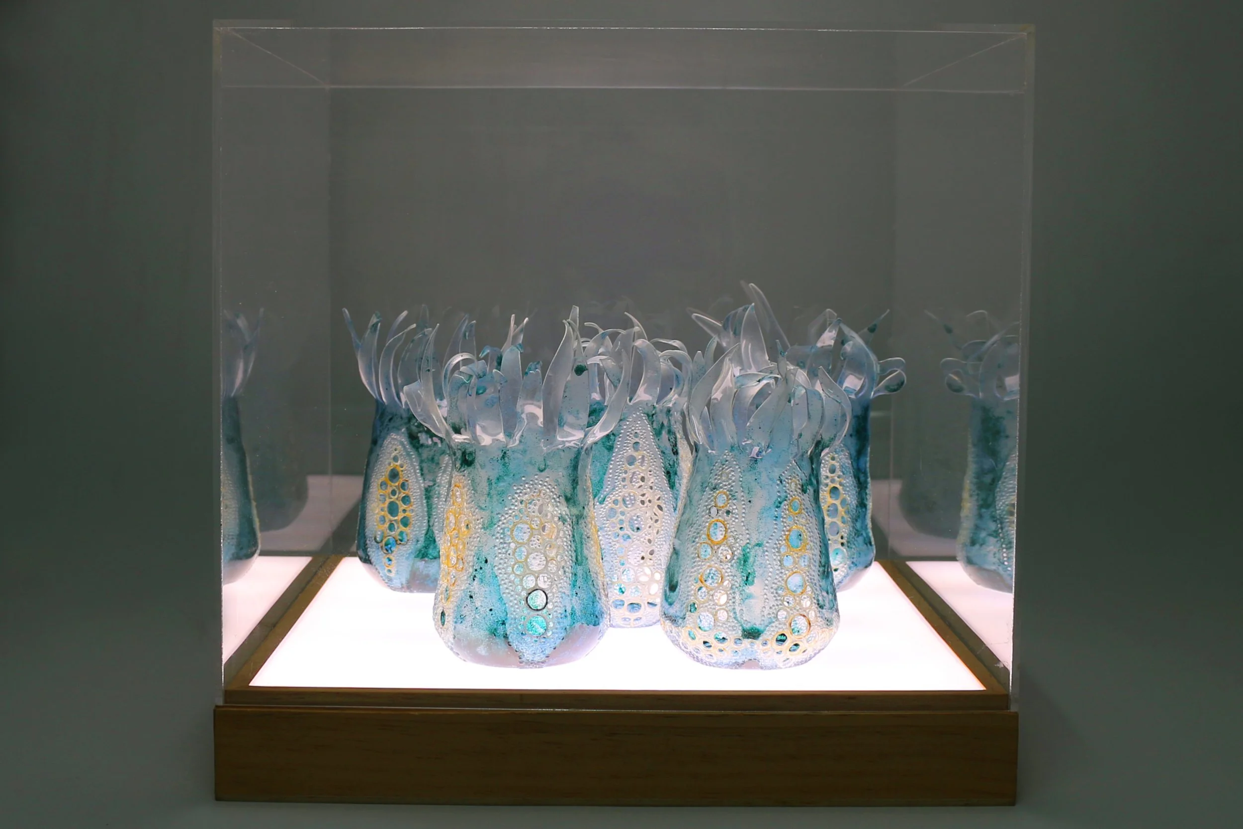 Nadine_Schmoll_my friend the cyanobacteria_sculpture_2024.jpg