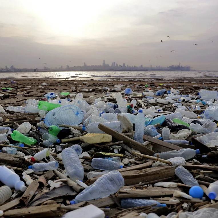 PEDAGOGY: A Victim of Another Kind: Sea Pollution in Lebanon