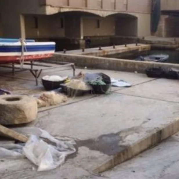 PEDAGOGY: Submarine, Shells and Sealore