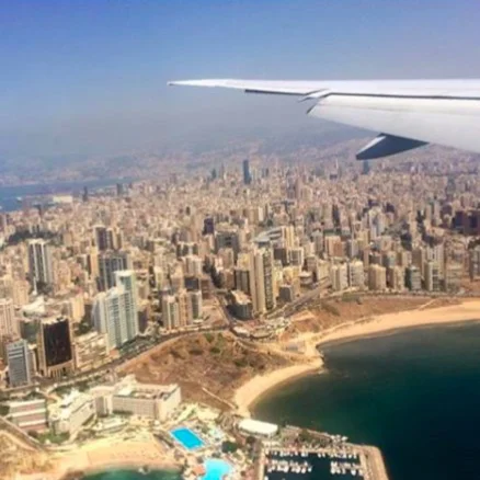 PEDAGOGY: There is No Big Trees on Beirut Coast