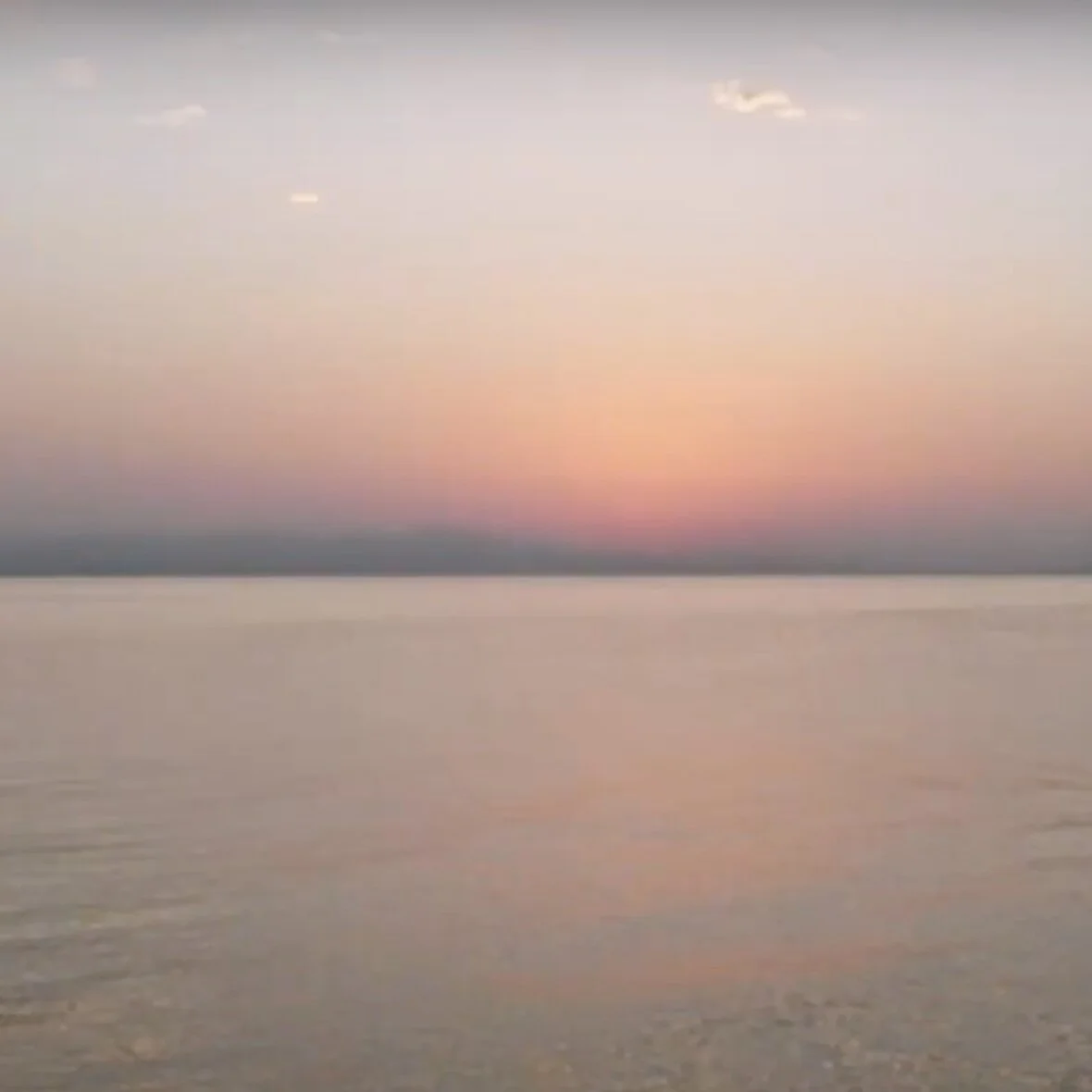 WATCH: "Cosmopolitics at Sea" A Visual Panel for #Distribute2020