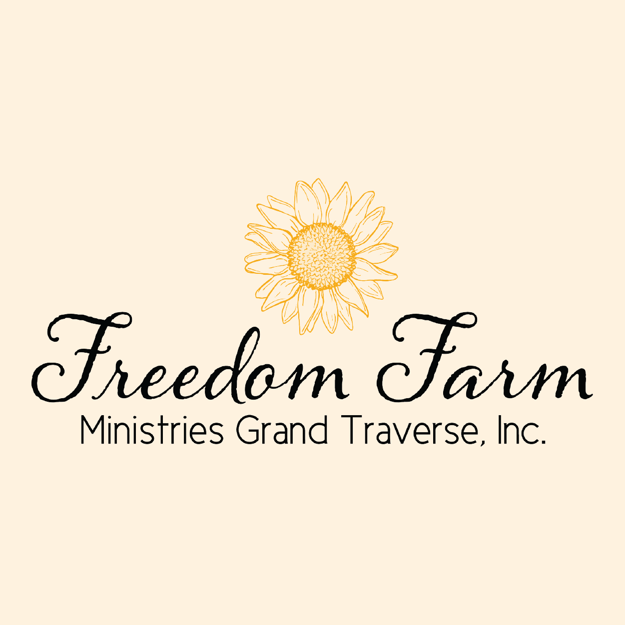 Current 120 + Freedom Farm, Web Design & Branding