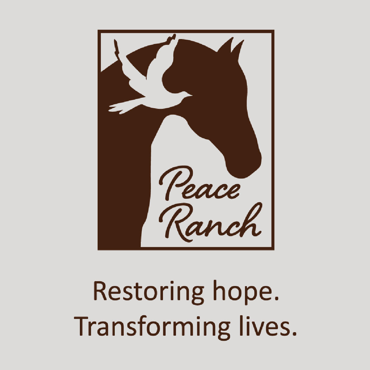 Current 120 + Peace Ranch, Web Design