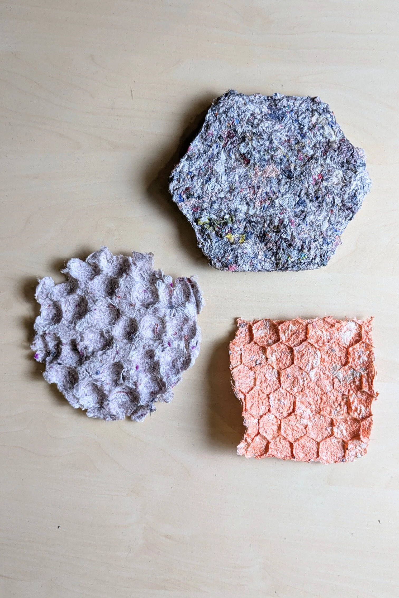 PXL_20260211_150016816 - Modifié.jpg