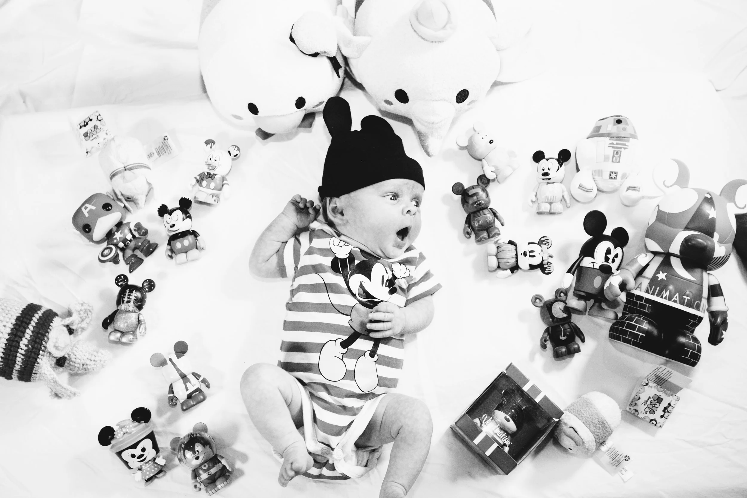 HadleyMouse_49.jpg