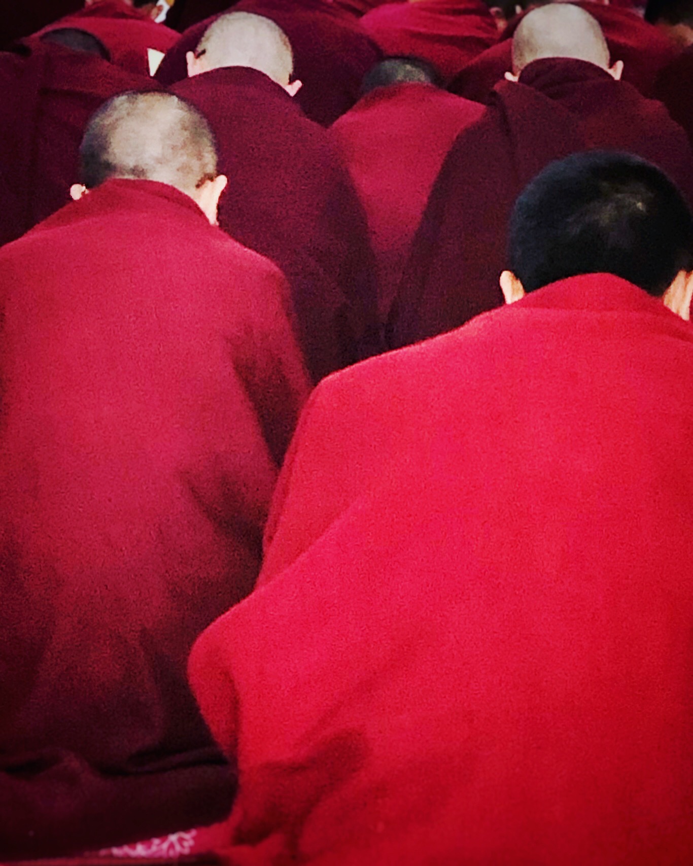Tibetan Monks in Dalai Lama Monastry