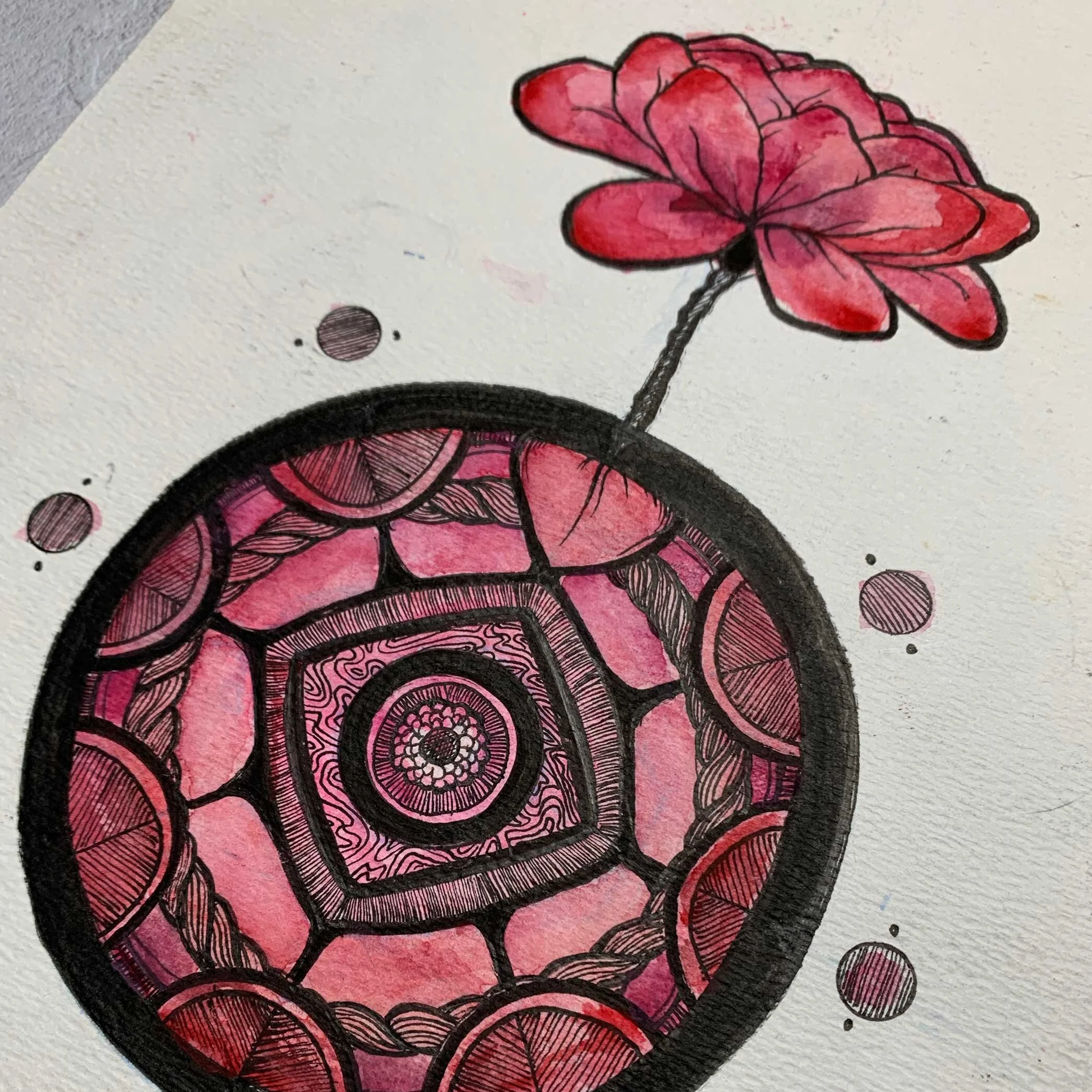 Redflower13b.jpg