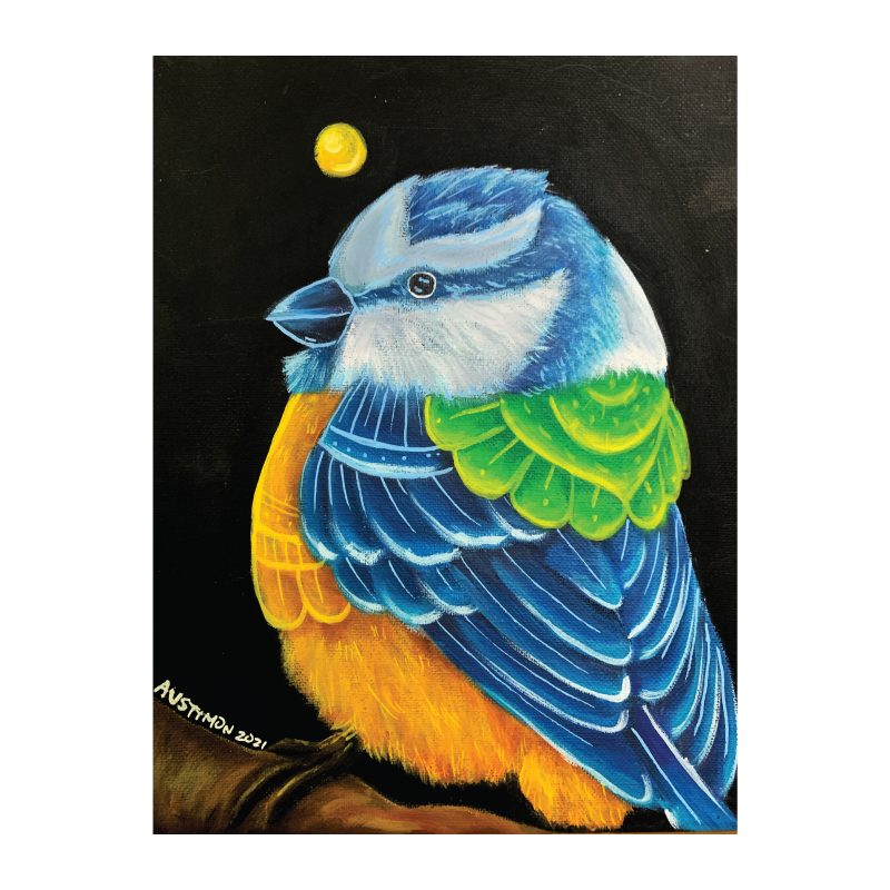 EURASION BLUE TIT
