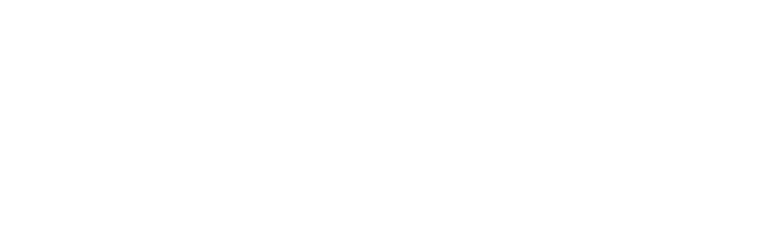 care-white-logo-horizontal.jpg