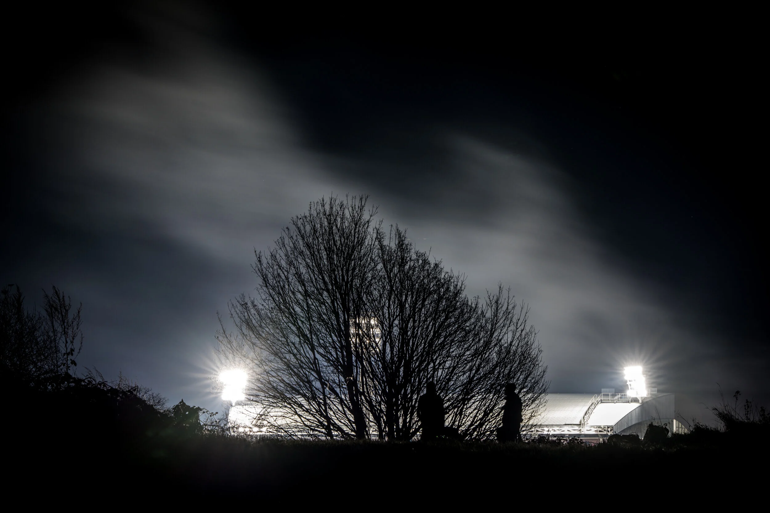 Crystal_Palace (19 of 1).jpg