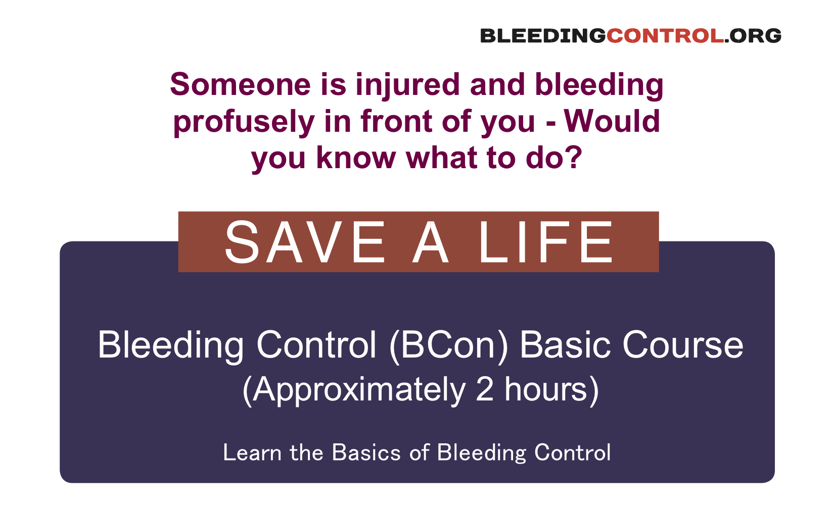 flyer 2.png