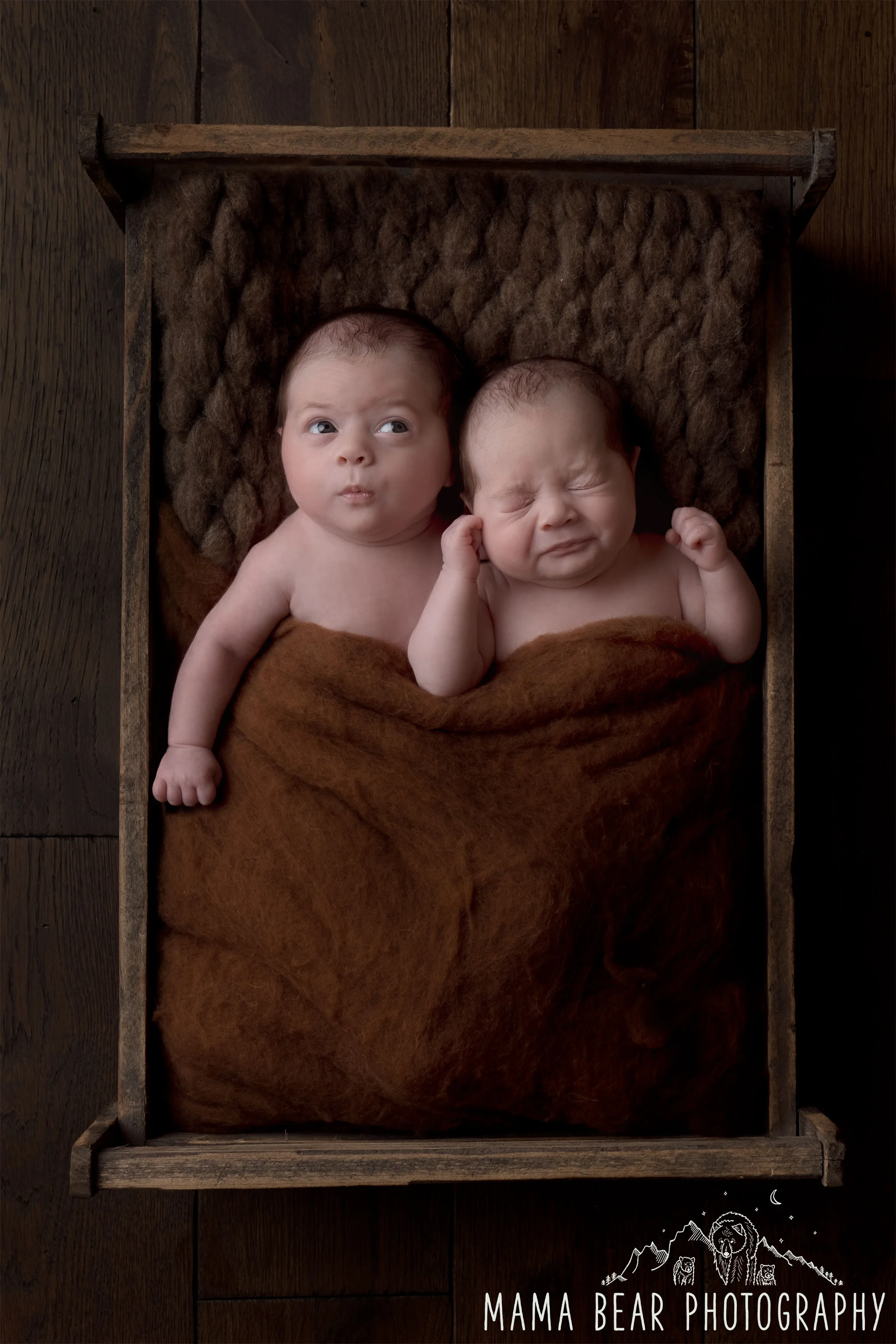 Twins Newborn Photographer Lincolnshire