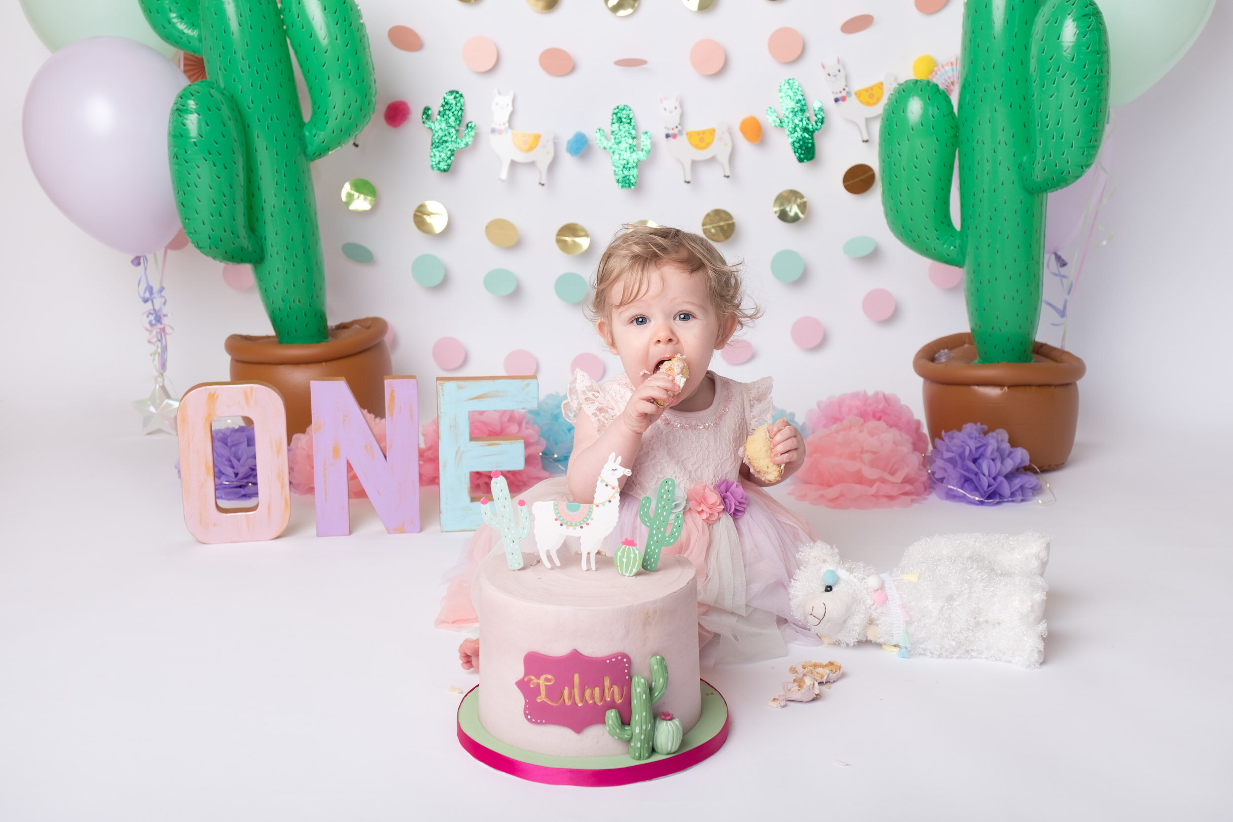 Cake-Smash-Lincoln-Mama-Bear-Photography--19.jpg