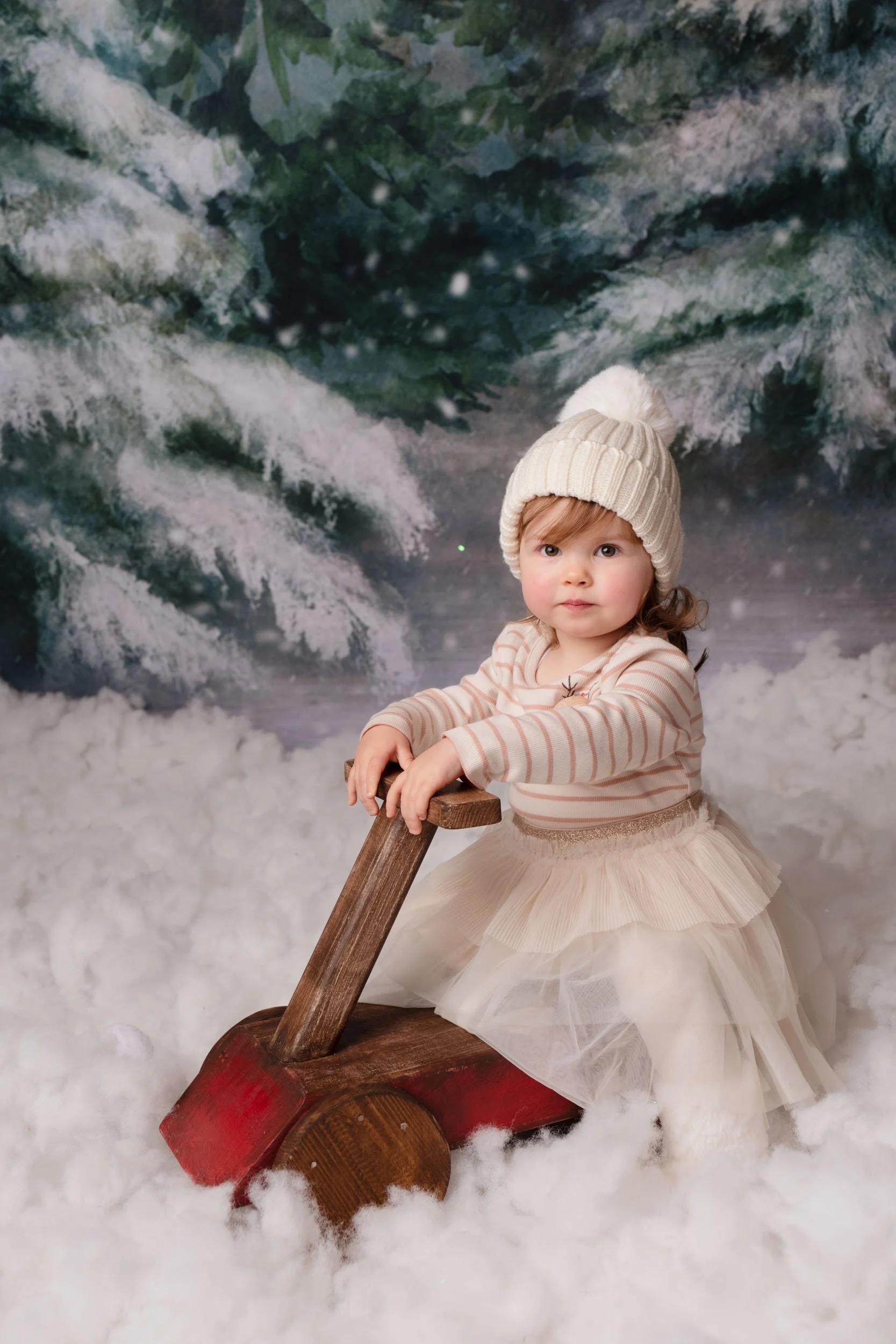 Family Christmas mini session in Lincoln