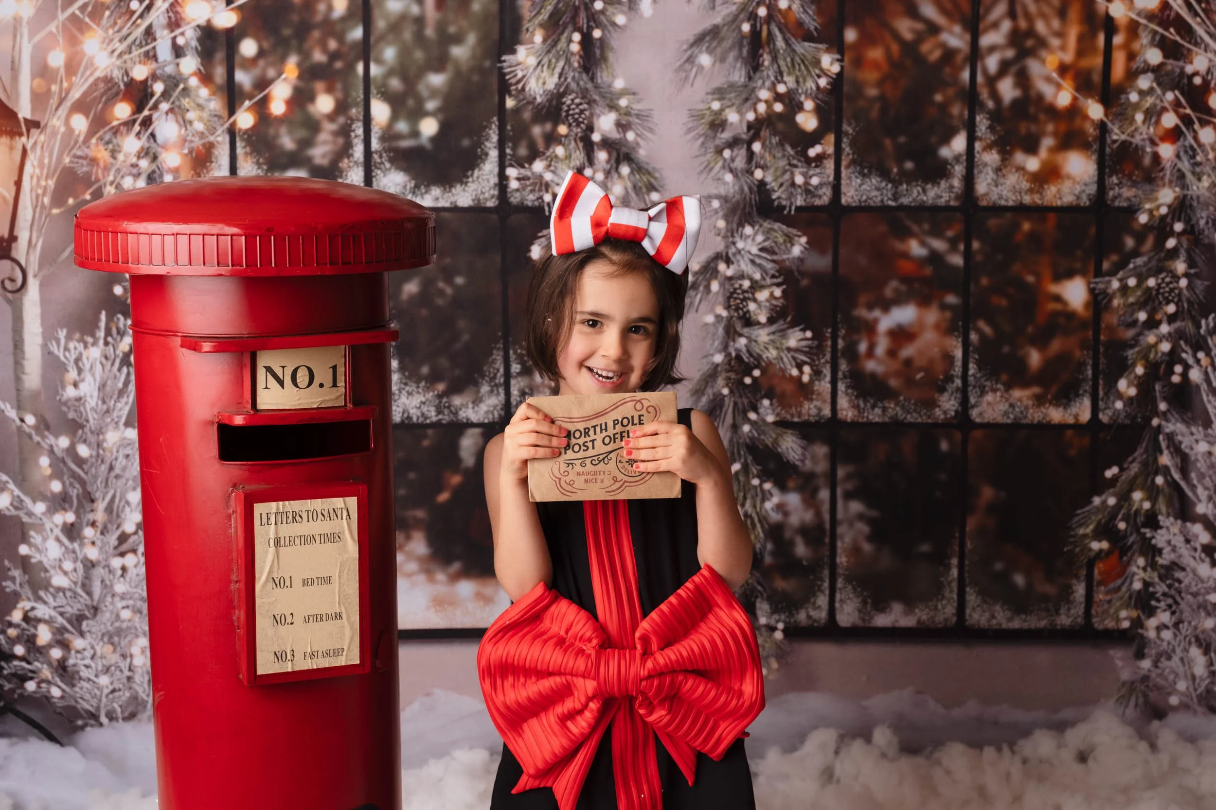 Special delivery to the North Pole