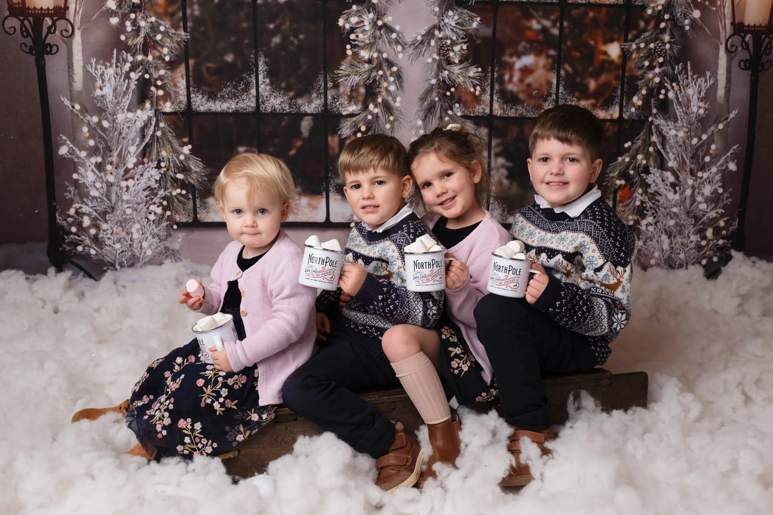 Marshmallows by the sledge Christmas photo