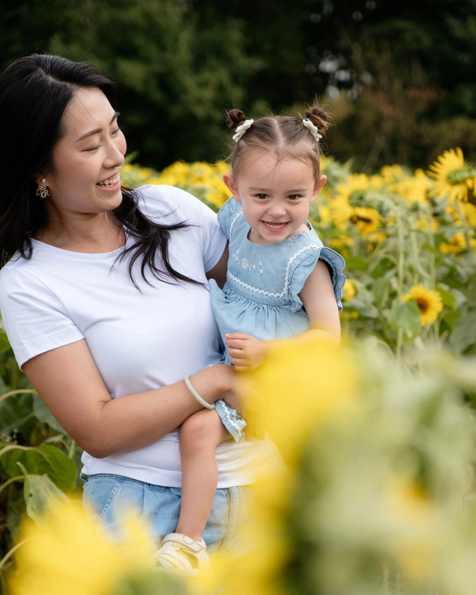 2026 was officially the year to be back at the sunflowers at @stourtonestates for the first time since 2023 and it was just the most gorgeous experience having the field to ourselves 🌻

I've got plenty more of these to share before we hunker down an