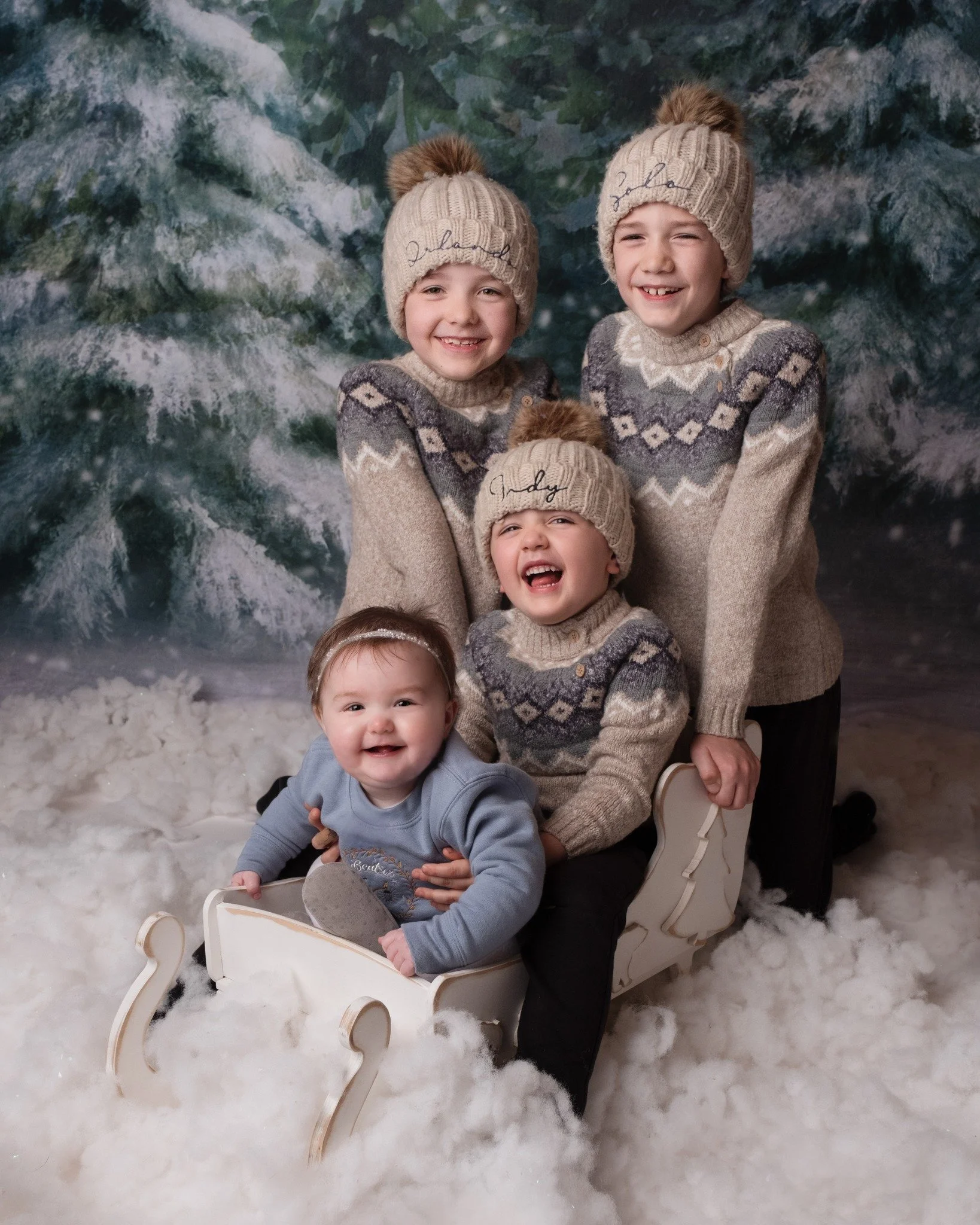 🎄 W I N T E R ❄️ W I L D E R N E S S 🎄

This set is perfect for the more active little ones. Whilst in the safety of The Cabin, they will pretend to ride in a sled across snow covered fields with the tall trees behind them whilst throwing snow at t