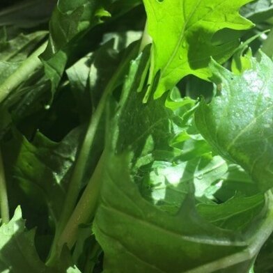 CSA: Week Three IN REVIEW