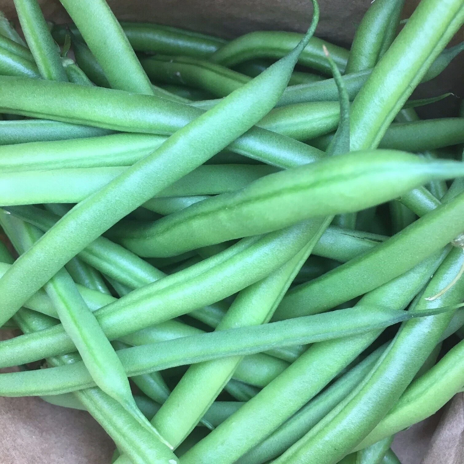 CSA: WEEK SIX IN REVIEW