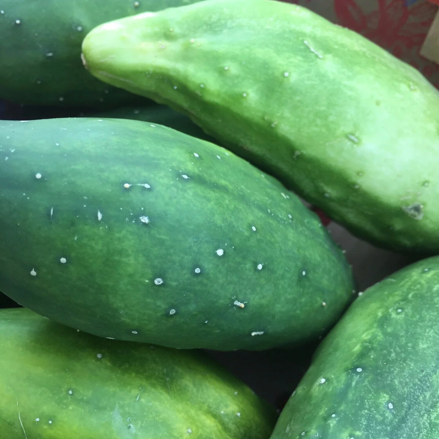 CSA: WEEK SEVEN IN REVIEW