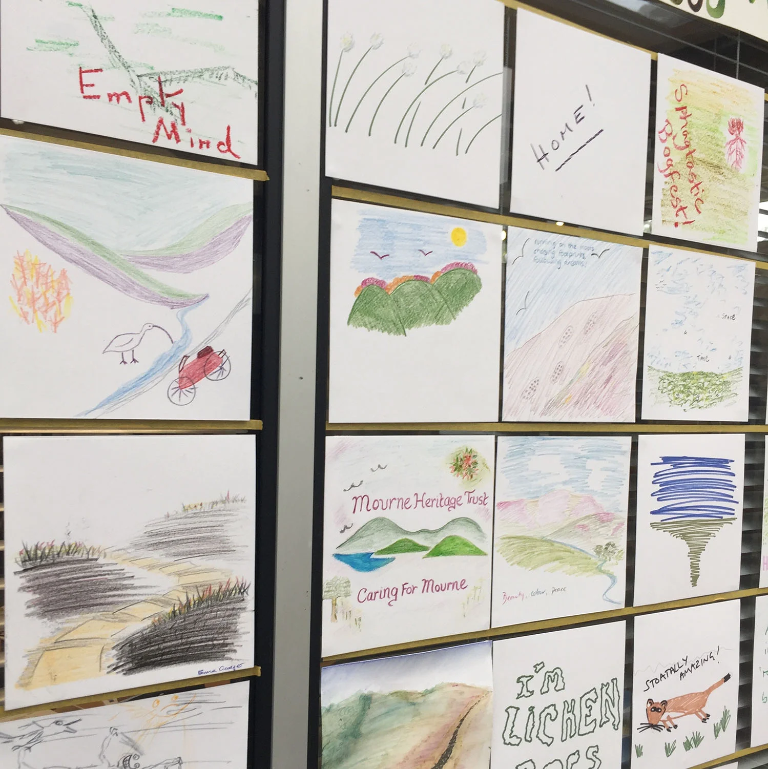 The BOGfest 2017 Boggy Art Wall — communicating delegates’ aesthetic ecosystem values.