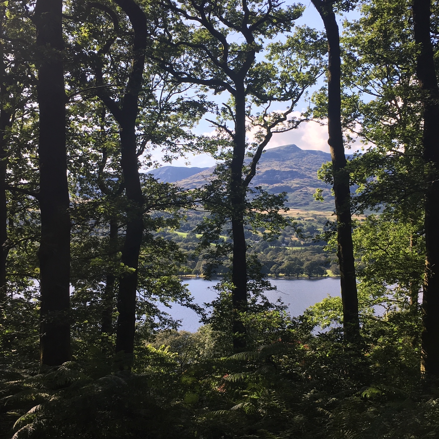 image2 11.jpeg