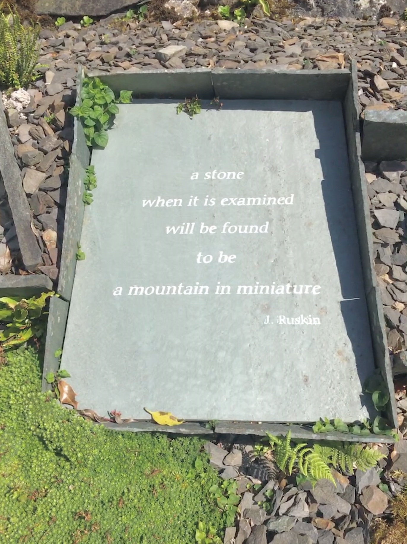 image4 4.jpeg