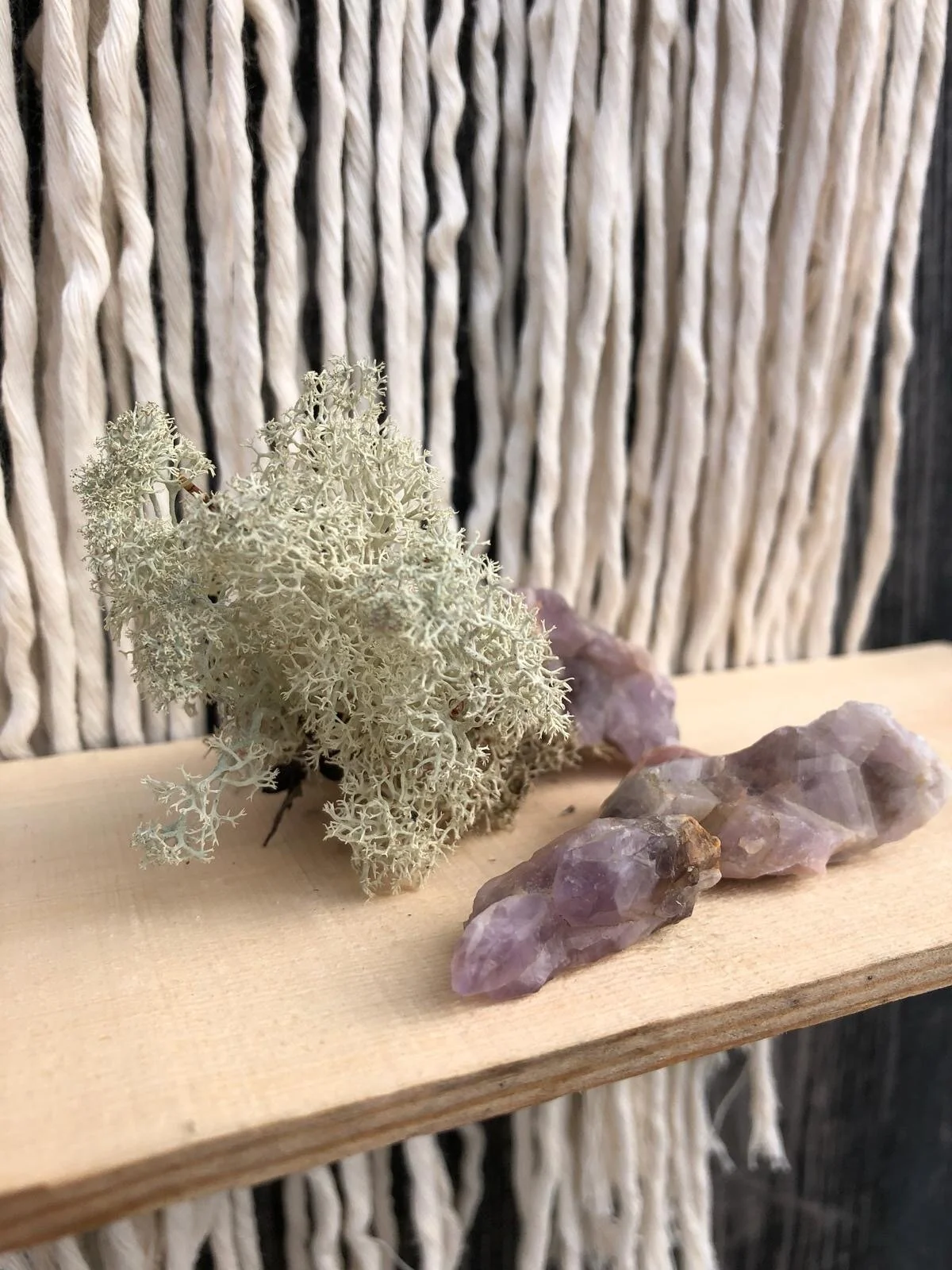 bd196851-34b0-478e-b4ac-95b2349623fb (2).JPG