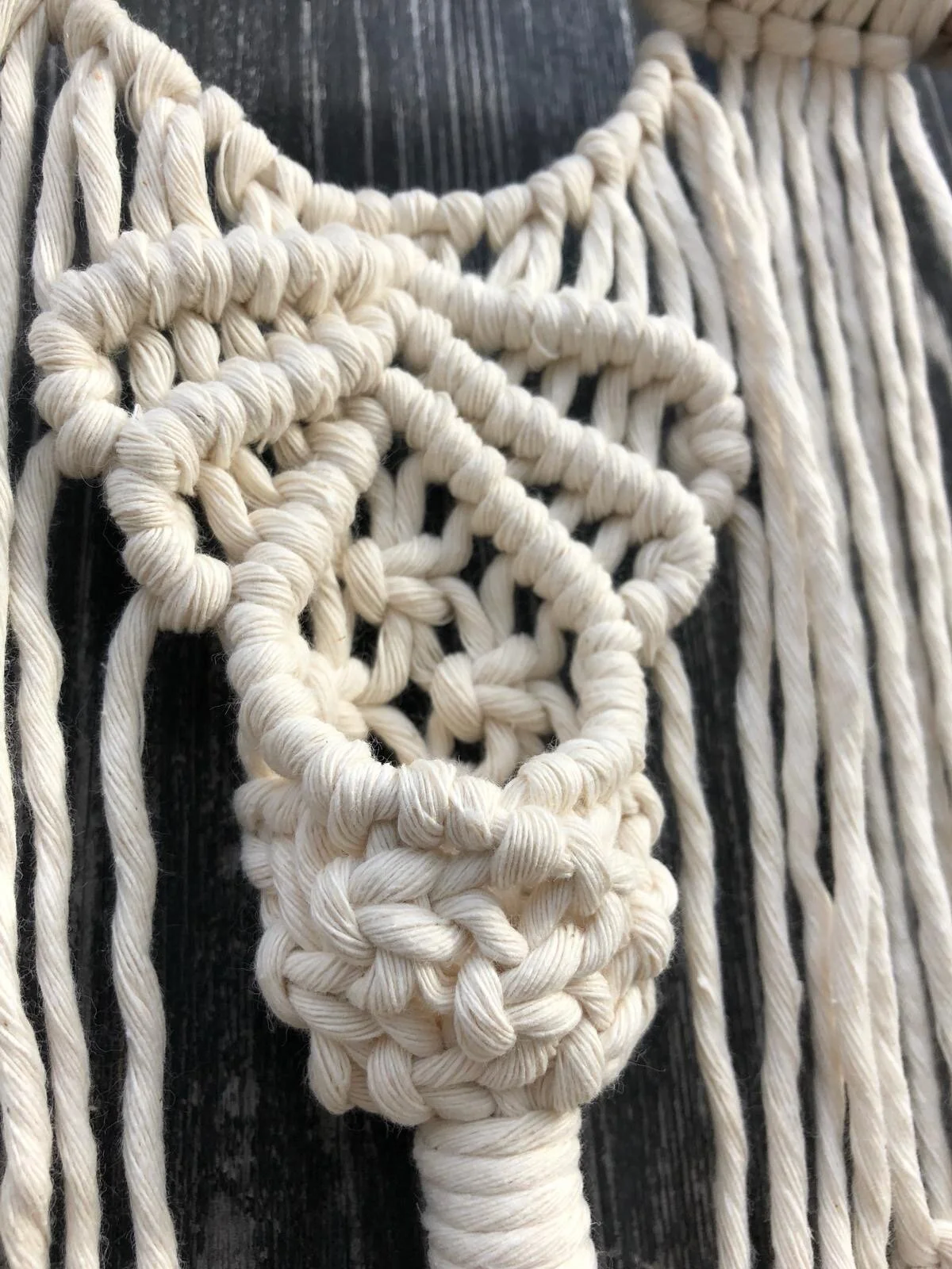 12cc6899-a52e-414c-b81d-8ab8fdbdfff4 (1).JPG