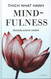 mindfulness-ogonblickens-under.jpg