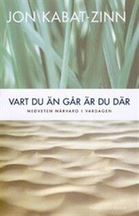 vart-du-an-gar-ar-du-dar-medveten-narvaro-i-vardagen.jpg