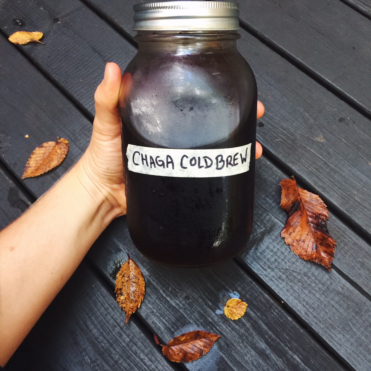 Chaga Tea Recipe Crockpot Dandk Organizer