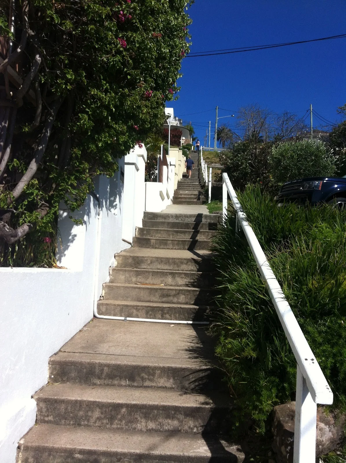South Coogee steps