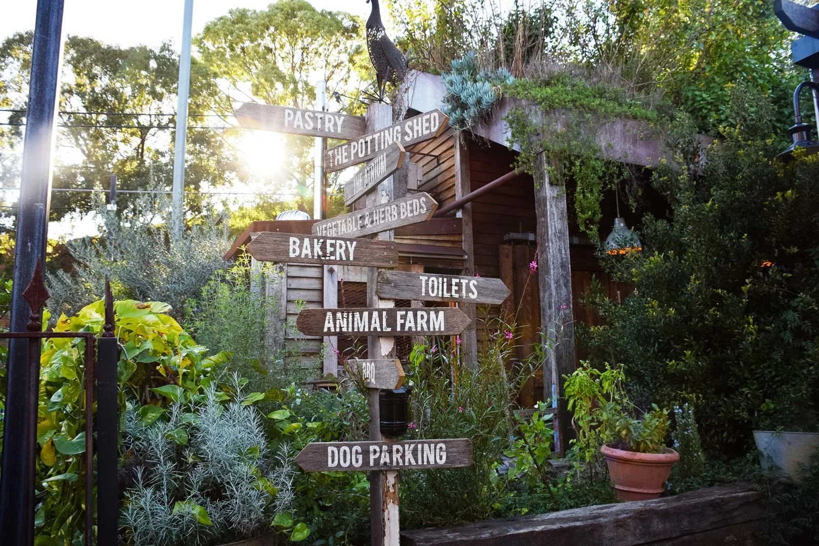 The Grounds of Alexandria are definitely a must-see when visiting Sydney.