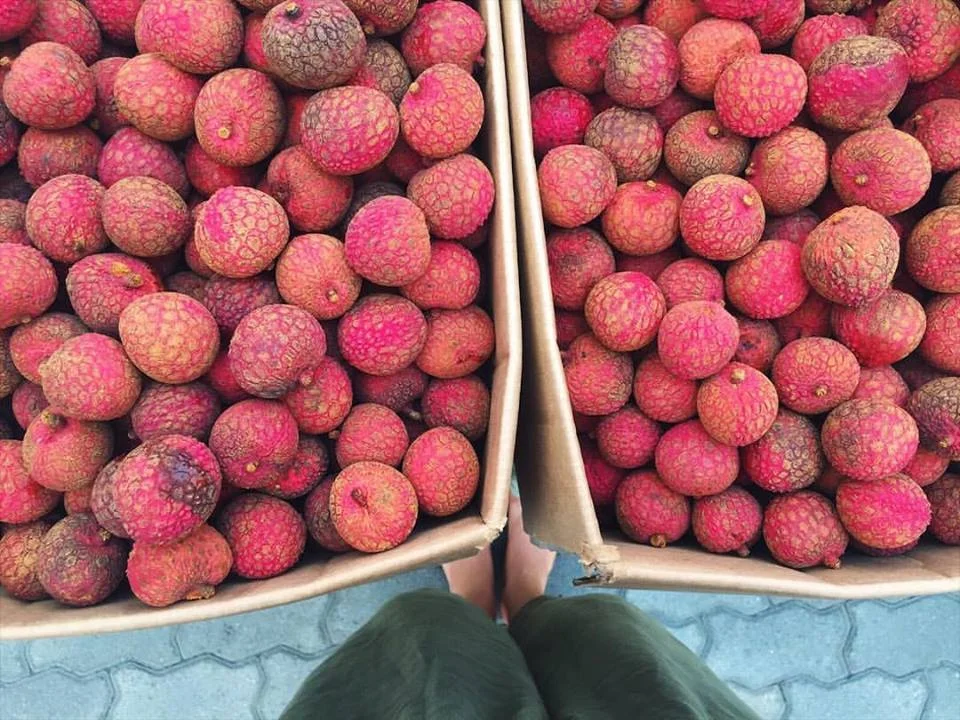 Lychee season at the farmers markets.