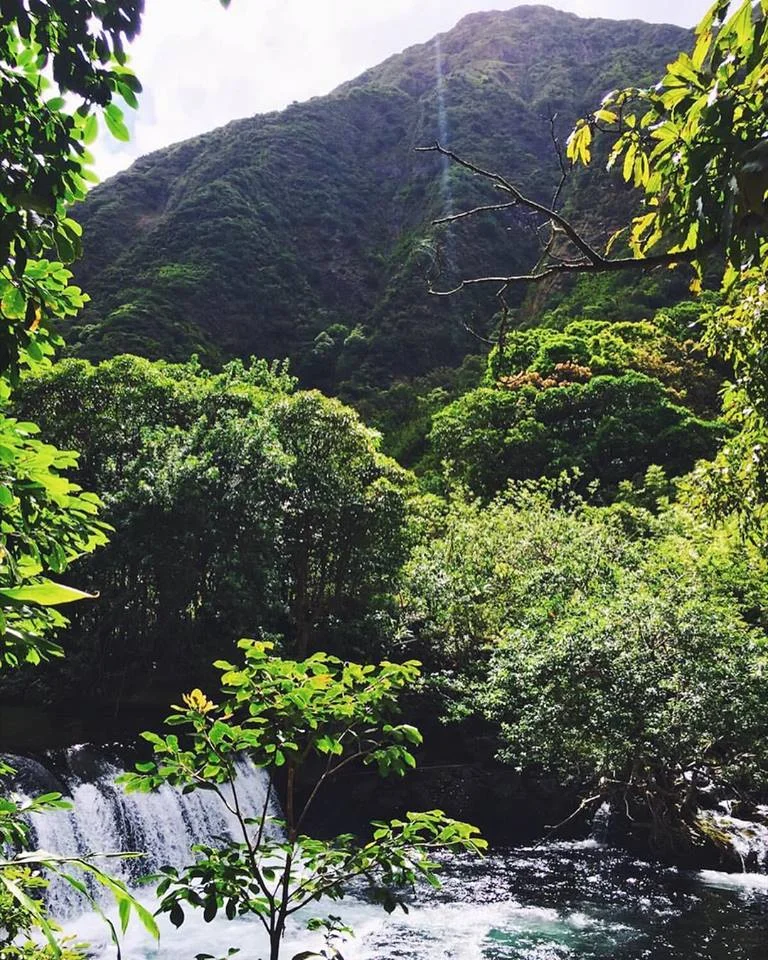 Swimming hole/ waterfalls at the end of the Swinging Bridges hike.