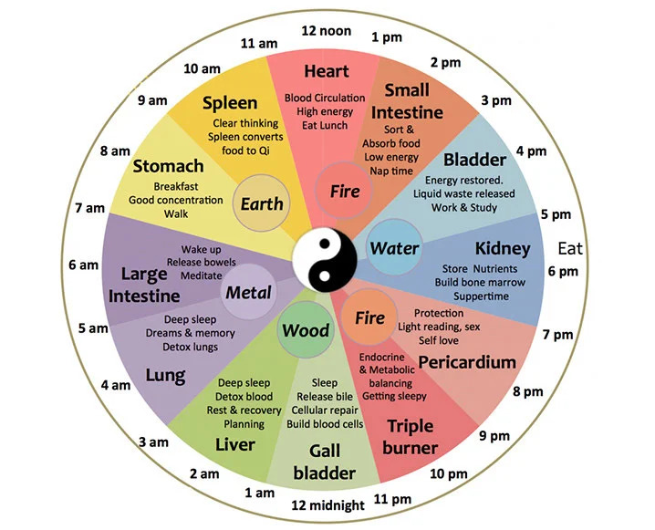 Chinese Body Clock. Photo Credit: Five Seasons Medicine
