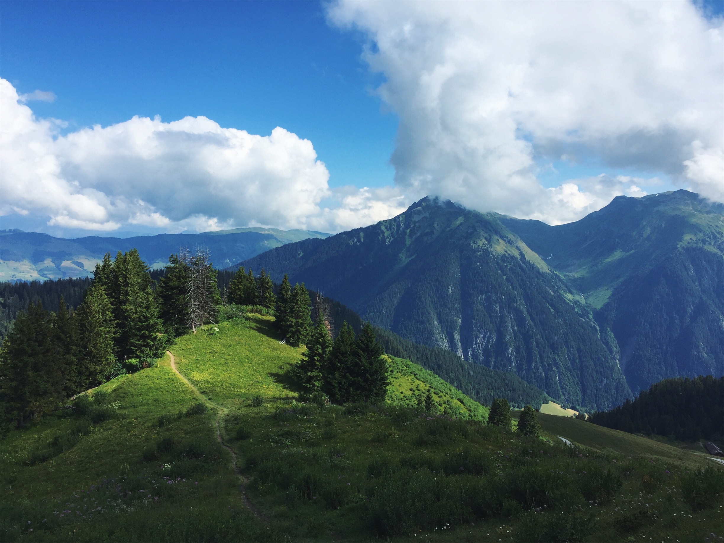 Hiking in the French Alpes, July 2018.
