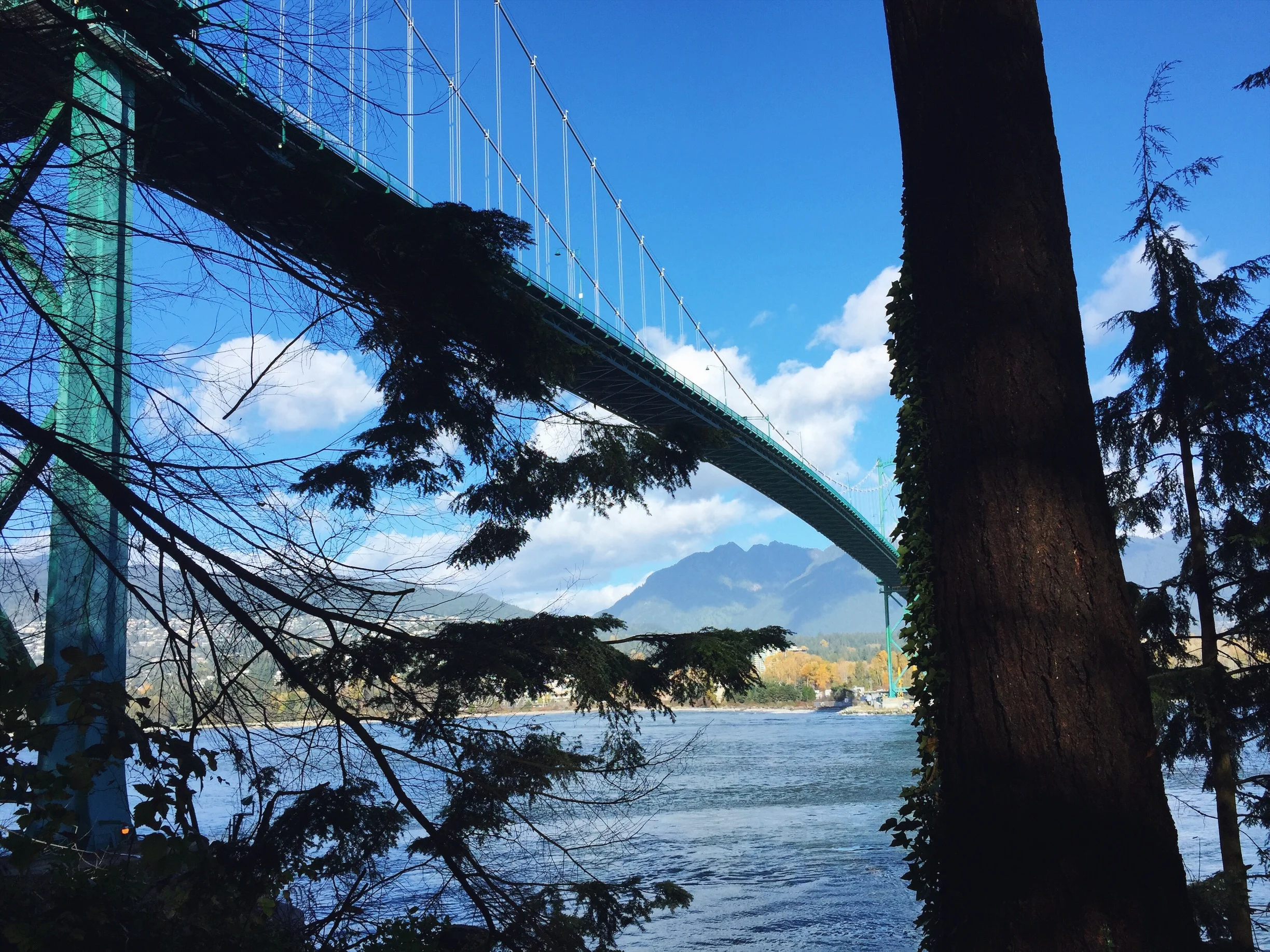 Views from beneath the Lions Gate bridge (a path that connects you to the seawall)
