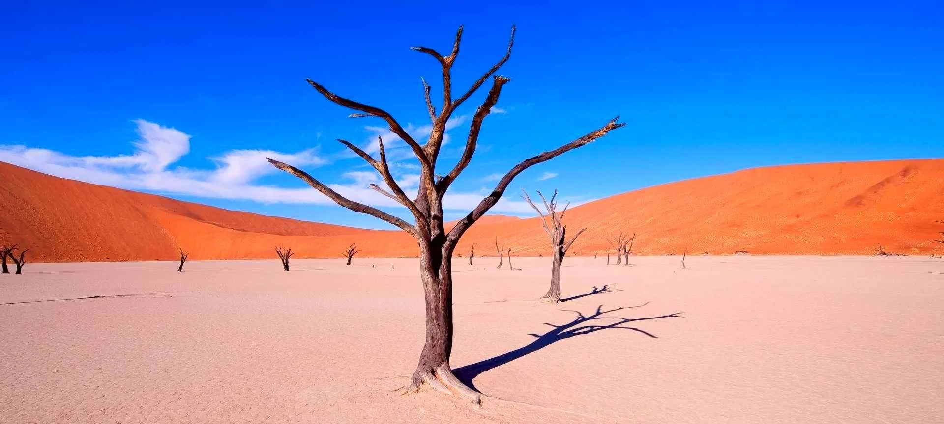 Sossusvlei, Namibia Desert, Africa
