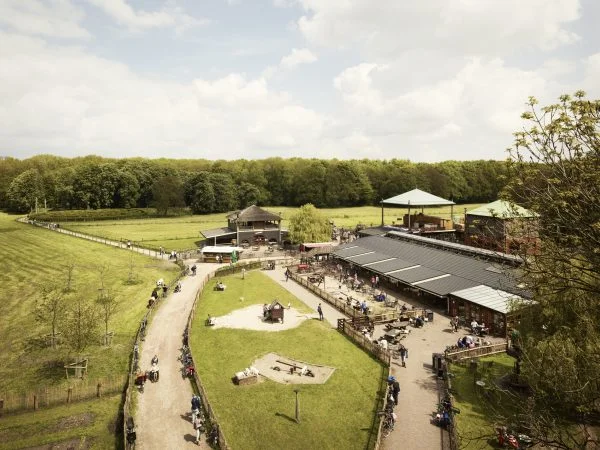 Goat farm Ridammerhoeve in the Amsterdam Forest.
