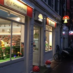 Magic Mushroom Gallery, in Amsterdam.